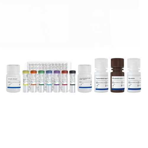 Kit de prueba para la investigación médica - RBD - Nanjing Vazyme Medical Technology Co.,Ltd - de IgG / SARS-COV-2 / de coronavirus