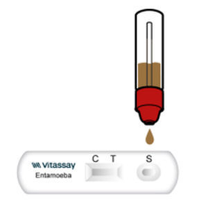 Prueba rápida de Entamoeba - VITASSAY HEALTHCARE S.L. - para enfermermedades infecciosas / para antígenos / de heces