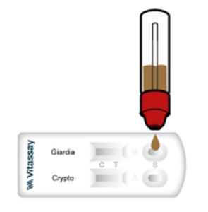 Prueba rápida de diarrea - VITASSAY HEALTHCARE S.L. - de giardiasis / para antígenos / de Cryptosporidium