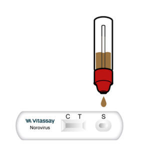 Prueba rápida de virus Norwalk - VITASSAY HEALTHCARE S.L. - para enfermermedades infecciosas / para antígenos / clínica
