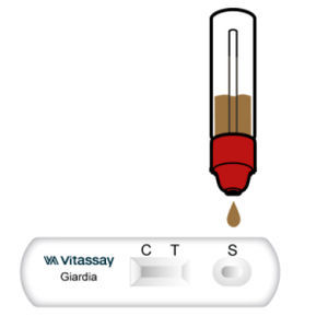 Prueba rápida de enfermedades gastrointestinales - VITASSAY HEALTHCARE S.L. - para antígenos / de parásitos / de heces