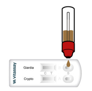 Prueba rápida de diarrea - VITASSAY HEALTHCARE S.L. - de giardiasis / para antígenos / para bacterias