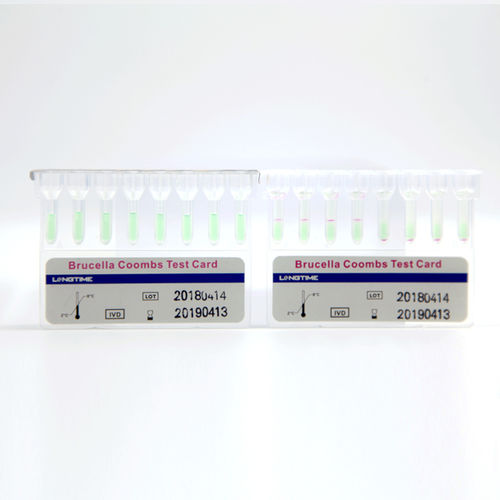 Kit de prueba para enfermermedades infecciosas - Hubei Longtime Biological Technology Co., Ltd. - de Brucella / de suero / de tipo cassette