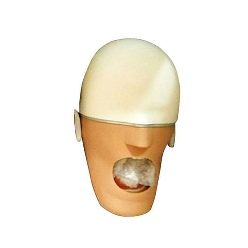 Modelo anatómico de cara -  UM-F01 - Tangshan UMG Medical Instrument - para odontología / de formación / de drenaje