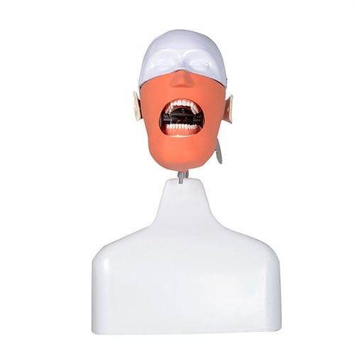 Simulador de formación - UM-L20 series - Tangshan UMG Medical Instrument - para odontología / de torso / portátil
