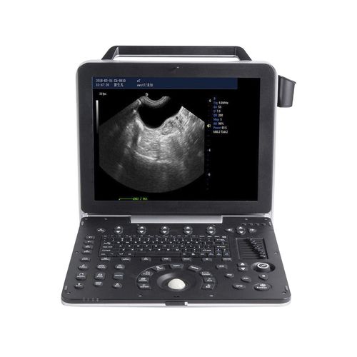 Ecógrafo veterinario portátil - G8V - Beijing iTrason Technologies - multifuncional / para animales pequeños / para animales grandes