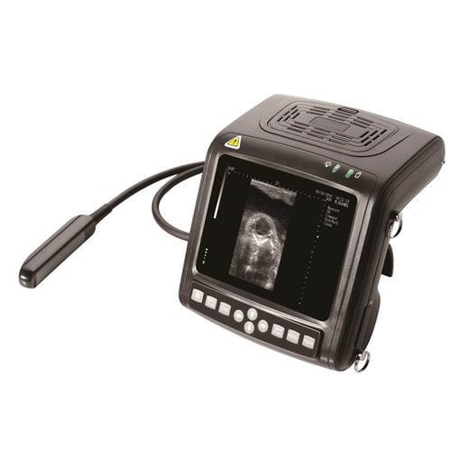 Ecógrafo veterinario de mano - 5200 - Beijing iTrason Technologies - multifuncional / para porcinos / para équidos