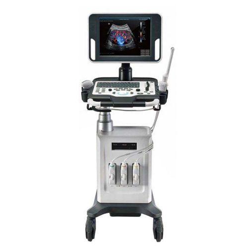 Ecógrafo con soporte - DC26 - Beijing iTrason Technologies - para ecografía ginecológica y obstétrica / para ecografía en urgencias médicas / para ecografía endovaginal
