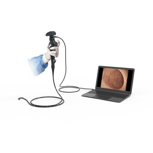 Broncoscopio veterinario vídeo - EU-120 - Beijing iTrason Technologies - para animales pequeños / para animales grandes / para perros