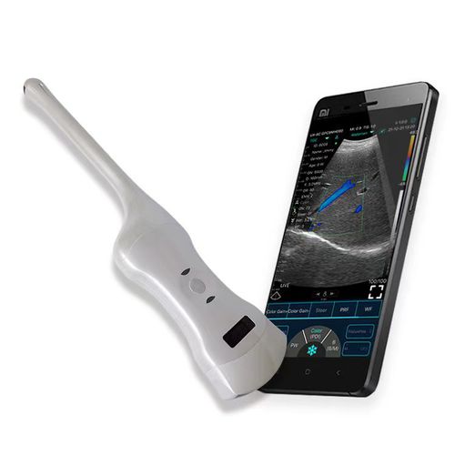 Ecógrafo de mano - C10RT - Beijing iTrason Technologies - para ecografía endovaginal / para ecografía transrectal / blanco y negro