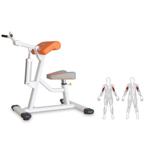 Máquina de musculación curl de brazos - KS102 - Shandong Zepu Medical Technology - extensión de tríceps / rehabilitación