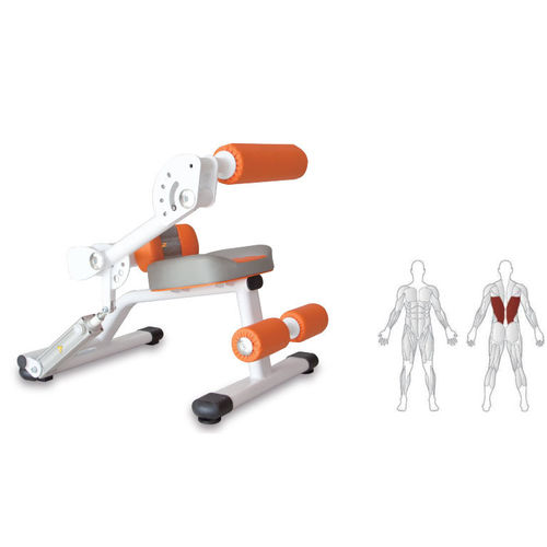 Banco de musculación de lumbares - KS109 - Shandong Zepu Medical Technology
