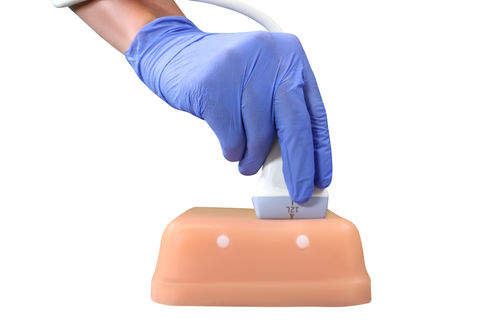 Simulador de formación - HM2.0 - HUMIMIC - para acceso vascular / para ecografía / para atención general