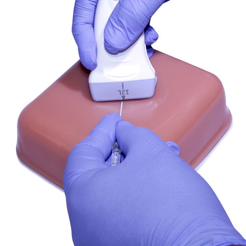 Simulador de formación - VH1000 - HUMIMIC - para ecografía / para radiología / para atención general