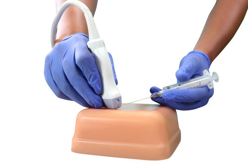 Simulador de formación - VH300  - HUMIMIC - para acceso vascular / para ecografía / para atención general