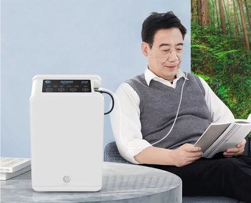 Concentrador de oxígeno médico - Guangzhou Sichuang Hongyi Electronic Technology Co., Ltd - portátil / PSA / de flujo continuo