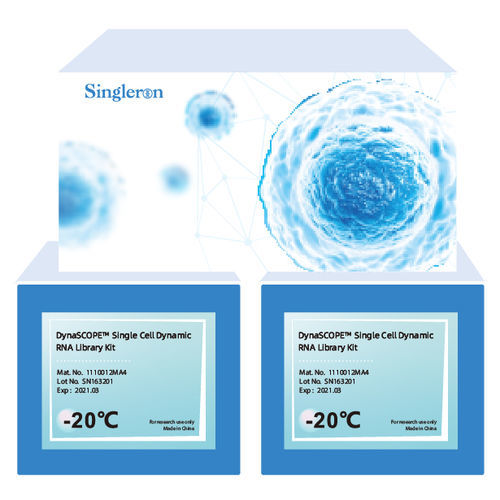 Kit de reactivos en solución - DynaSCOPE™ - Singleron Biotechnologies - para la investigación / para secuenciación de ARN en célula única / para síntesis del ARN