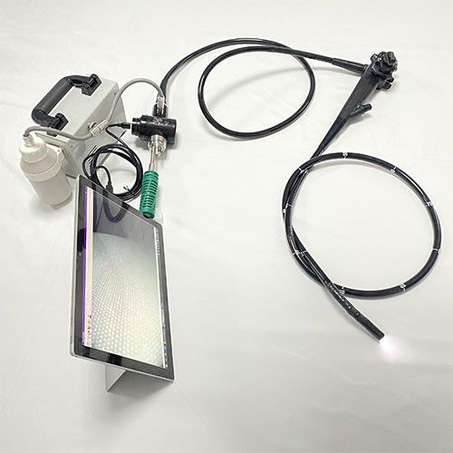 Gastroscopio veterinario vídeo - GBS-9 - Jiangsu Ruitian Medical Technology - con monitor de vídeo integrado