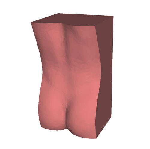 Modelo anatómico lumbar - HUM-L - manikinmate - de punción / de inyección / para ecografía