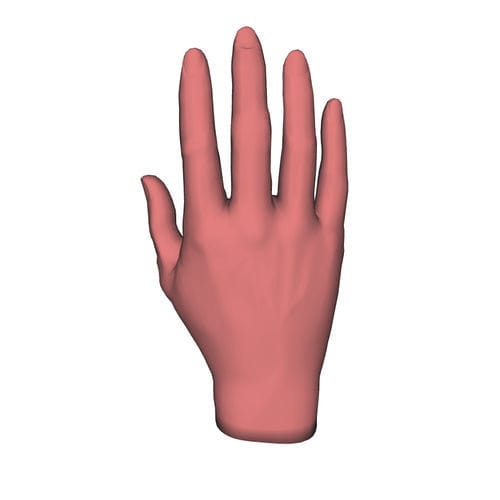 Modelo anatómico de mano - HUM-M - manikinmate - de muñeca / de formación / de inyección