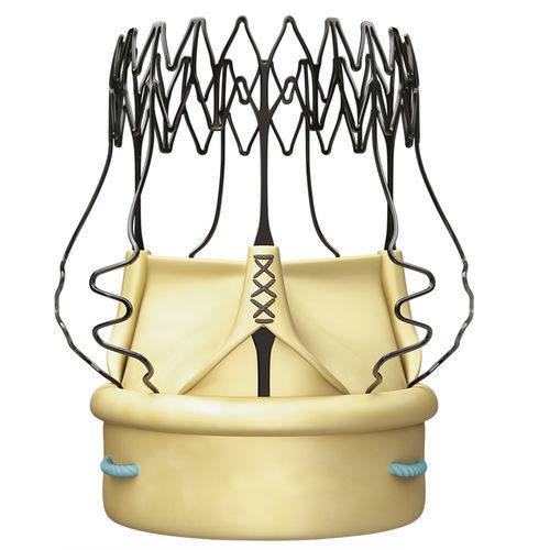 Bioprótesis valvular aórtica - PERCEVAL™ - Corcym - de tejido bovino / de nitinol / sin suturas