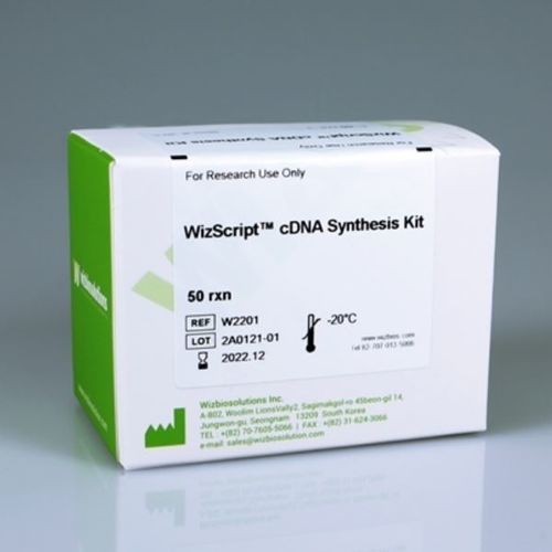 Kit de reactivos para síntesis de ADNc - WizScript™  - Wizbiosolutions Inc. - solución de dNTP / solución tampón / para RT-PCR