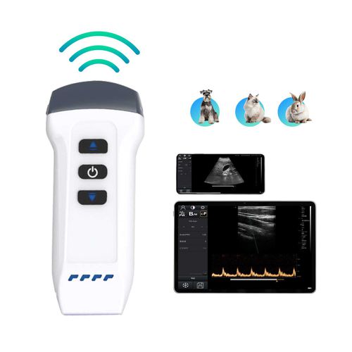 Ecógrafo veterinario de mano - DW-X1 VET - Dawei Medical - multifuncional / para animales pequeños / doppler-color