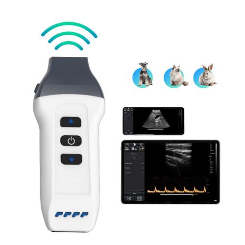 Ecógrafo veterinario de mano - DW-P1 VET - Dawei Medical - multifuncional / para animales pequeños / para porcinos