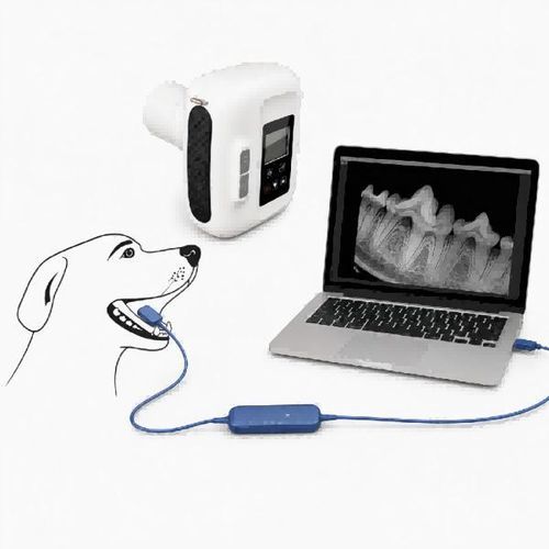 Sistema de radiografía veterinaria digital - Dawei Medical - intraoral