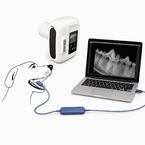 Sistema de radiografía veterinaria digital - Dawei Medical - intraoral