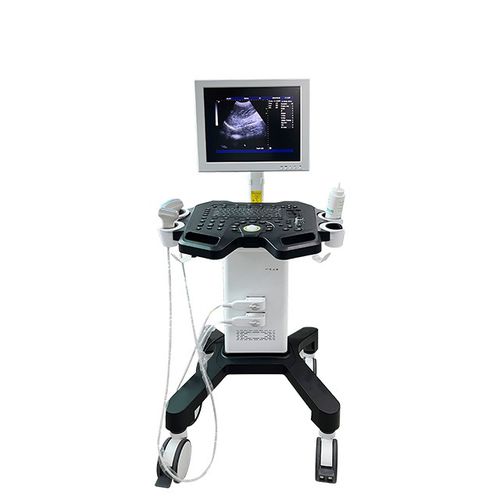 Ecógrafo portátil, con carro - DW-750 - Dawei Medical - para ecografía polivalente / para ecografía ginecológica y obstétrica / para ecografía musculoesquelética
