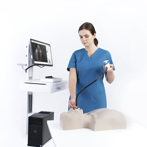 Simulador de formación - MrTEEmothy® TEE  - Medical Simulation Technologies - para ecocardiografía / para ecografía doppler / para ecocardiografía transesofágica
