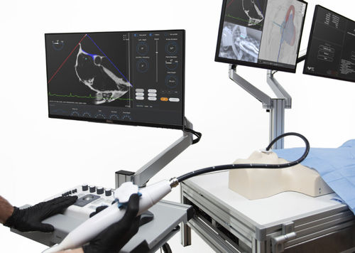 Simulador de punción - Trinity - Medical Simulation Technologies - de formación / de anatomía / estación de trabajo