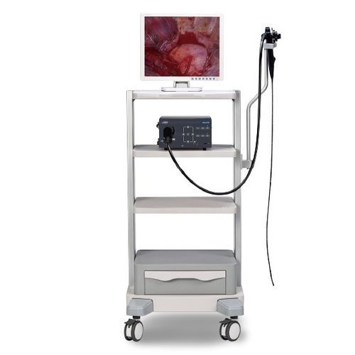Broncoscopio veterinario vídeo - Vetina ES3 - Shenzhen Mindray Animal Medical Technology Co., Ltd. - para animales pequeños / para animales grandes / con canal operador