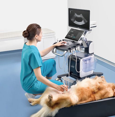 Ecógrafo veterinario con soporte - Vetus 50 - Shenzhen Mindray Animal Medical Technology Co., Ltd. - multifuncional / para cánidos / para felinos