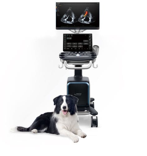 Ecógrafo veterinario con soporte - Vetus 80 - Shenzhen Mindray Animal Medical Technology Co., Ltd. - multifuncional / para cánidos / para felinos