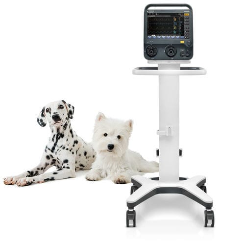 Ventilador veterinario - SV300 Vet - Shenzhen Mindray Animal Medical Technology Co., Ltd. - no invasivo / multimodal / invasivo