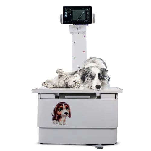 Sistema de radiografía veterinaria digital - YSX-056PD - Fatali Medical - analógico / con mesa