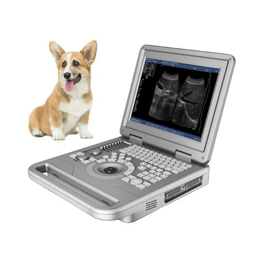 Ecógrafo veterinario portátil - FTL-UTS30 - Fatali Medical - multifuncional / para animales pequeños / blanco y negro