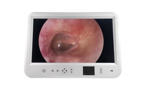 Sistema de imágenes endoscópicas EUS - DJSXJ-IIe - Hengyang Dajing Medical Devices Technology - broncoscopia / esofagoscopia / colonoscopia