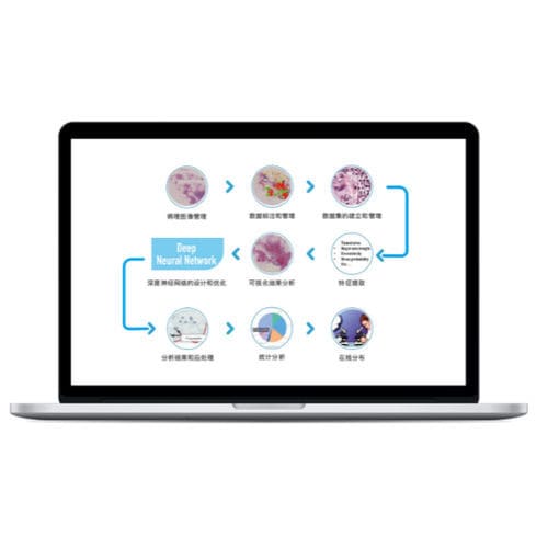 Software de gestión - RadCloud®  - Huiying Medical Technology (Beijing) Co., Ltd. - de visualización / de formación / médico