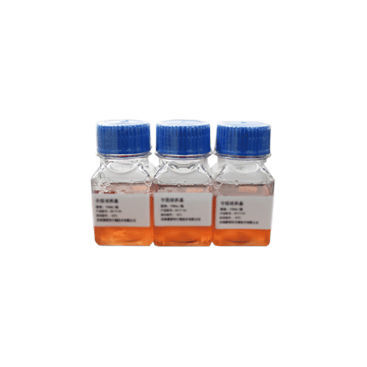 Medio reactivo - SN4001 - Celnovte Biotechnology Co., Ltd. - clínico / de citogenética / para cultivos celulares