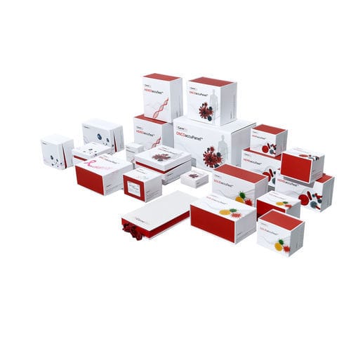 Kit de reactivos en solución - MTBaccuPanel™ - NGenebio - de diagnóstico / para secuenciación de nueva generación / líquido