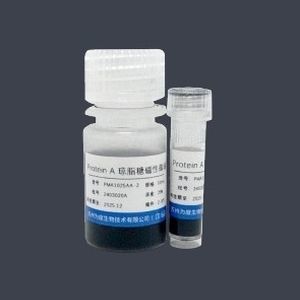 Reactivo de microesfera - PMA1025AA - VDO Biotech - gel de agarosa / de purificación de proteínas / de proteínas