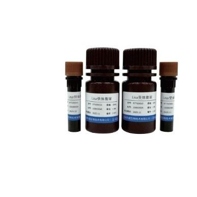 Reactivo de microesfera - 67500001 - VDO Biotech - para inmunoanálisis / líquido