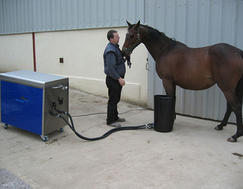 Spa animal para équidos - Mini-Spa® - Cet Equine Spa