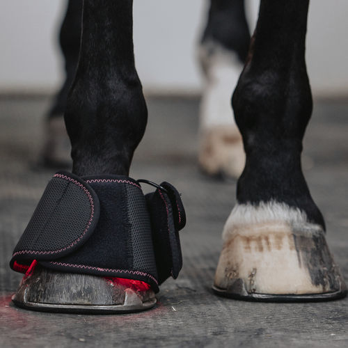 Bota ortopédica inmovilizadora veterinaria para mamíferos - Infrapower - FMBs