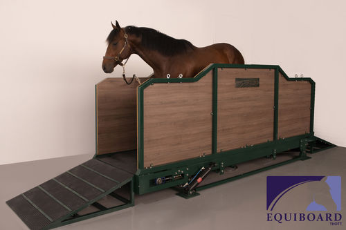 Cinta de correr veterinaria para caballos - EQUIBOARD - inclinada
