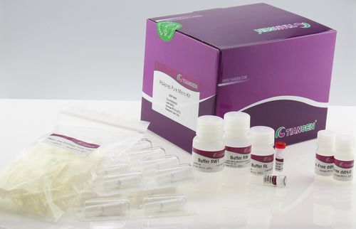 Reactivo en solución - RNAprep Pure Micro Kit - Tiangen Biotech - para purificación de ARN