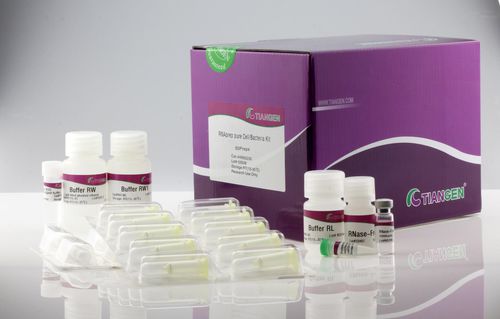 Reactivo en solución - RNAprep Pure Cell/Bacteria Kit - Tiangen Biotech - para purificación de ARN